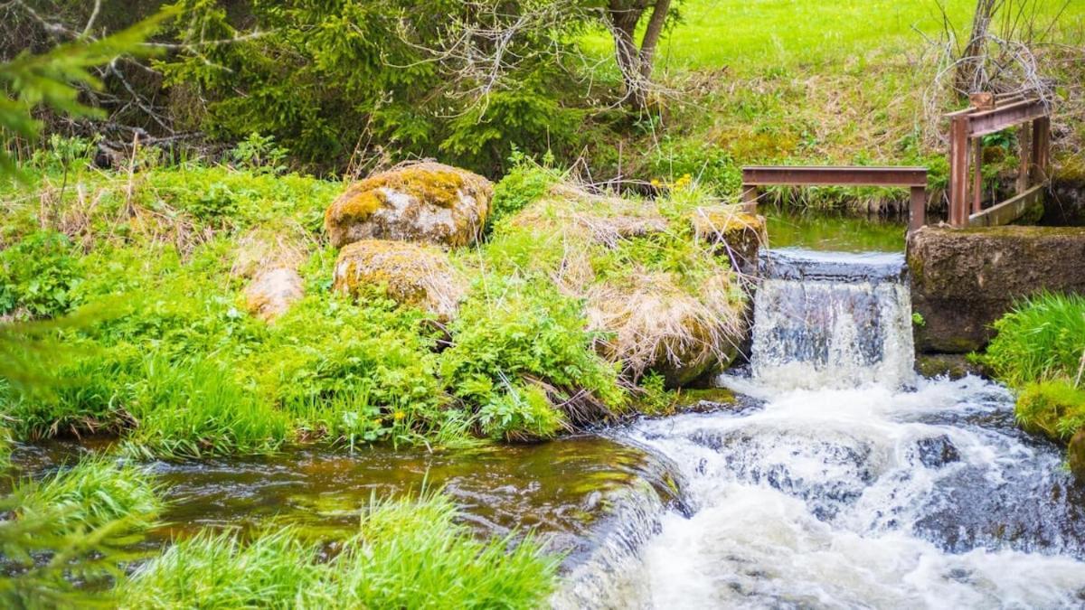 Schwarzwald Lodge Inselklause Schönwald Ngoại thất bức ảnh