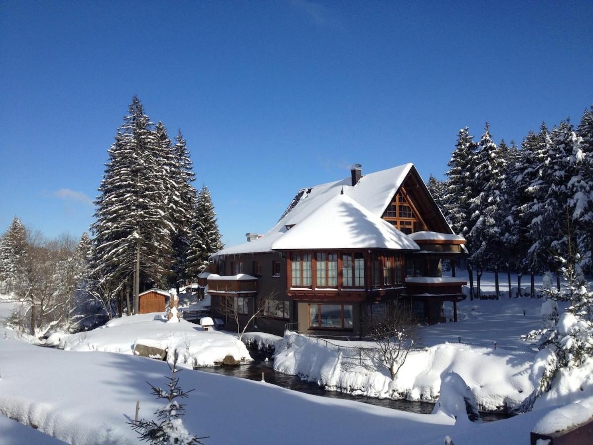 Schwarzwald Lodge Inselklause Schönwald Ngoại thất bức ảnh